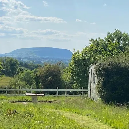Clover Sligo