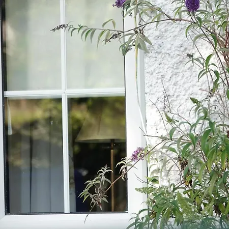 Clover Tatil Evi Sligo